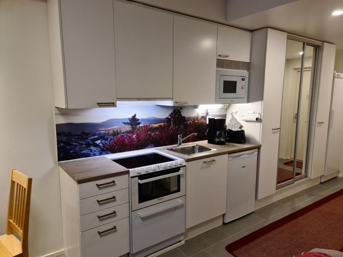 Levibooking Lost In Levi Apt 305 คิตติลา ภายนอก รูปภาพ